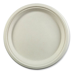 AmerCareRoyal Bagasse PFAS-Free Dinnerware, Plate, 10.27" dia, White, 500/Carton (PL10NPFA)