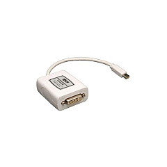 Tripp Lite 6in Mini Dport To Dvi Adapter Mac/pc M/f (P13706NDVI)