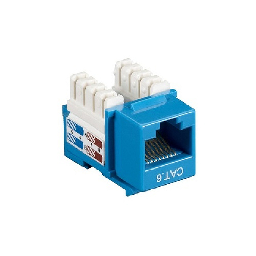 Black Box Cat6 Keystone Jack - Unshielded, Rj45, Blue, 10-pack (CAT6J ...