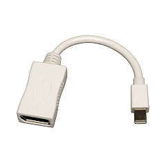 Tripp Lite 6in Mini Dp To Dp Adapter Mdp To Dp M/f (P139-06N-DP)