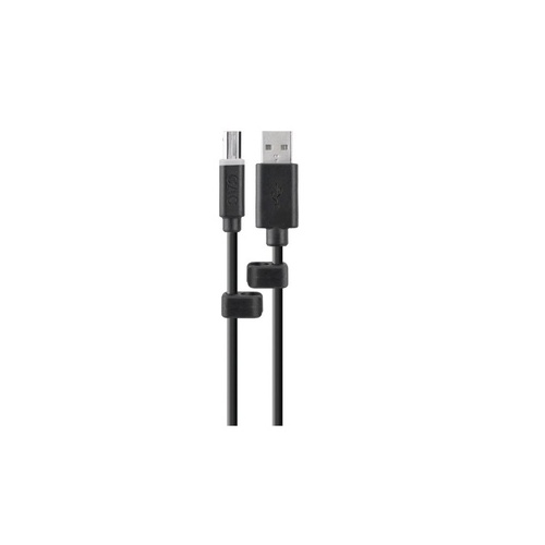Belkin Usb A/b Cac Cable, 6ft (F1D9013B06)