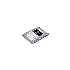 Total Micro Technologies 250gb 2.5in 5400rpm Sata Hard Drive (250GI2STM)