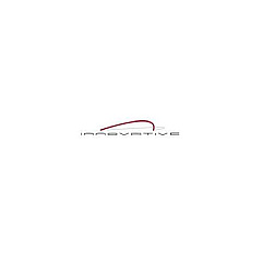 Hcw Distributing 8.5in Arm Extension (91189130104)