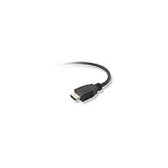 Belkin 4ft Hdmi (m/m) Cable Cl2 (F8V3311B04-CL2) Belkin 4ft Hdmi (m/m) Cable Cl2 (F8V3311B04-CL2)
