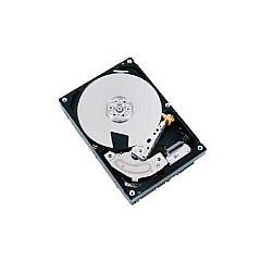 Tpcast Us 3.5 Tomcat/sata/512e/2tb (MG04ACA200E)