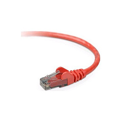 Belkin Cable,cat6,utp,rj45m/m,6 Inch,red,patch (A3L980-06IN-RED)