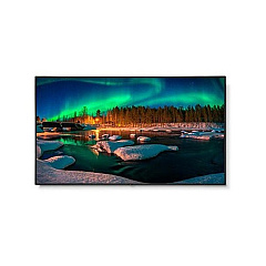 NEC 98 Led Lcd 4k (C981Q)