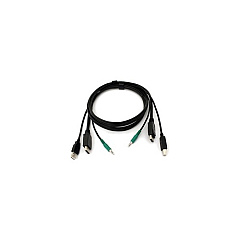 Black Box Displayport Kvm Cable - Usb A-b, 3.5mm Audio, 6-ft. (1.8-m) (SKVMCBL-DP-06) Black Box Displayport Kvm Cable - Usb A-b, 3.5mm Audio, 6-ft. (1.8-m) (SKVMCBL-DP-06)