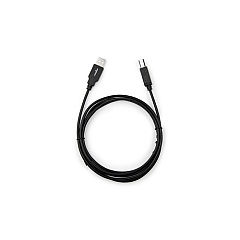 Rocstor Usb 2.0 - Type A To Type B - M/m - 1 Pa (Y10C116B1) Rocstor Usb 2.0 - Type A To Type B - M/m - 1 Pa (Y10C116B1)