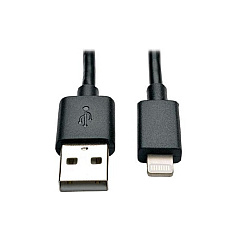 Tripp Lite 10in Usb Lightning Charge Cable Black (M100-10N-BK)