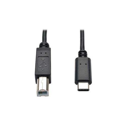 Tripp Lite 6ft Hi-speed Usb Cable Usb-b / Usb-c M/m (U040006)