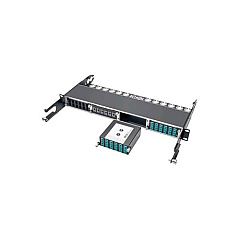 Tripp Lite Fiber Cassette 24 Om4 Mtp/mpo To X12 Lc (N4841M24LC12) Tripp Lite Fiber Cassette 24 Om4 Mtp/mpo To X12 Lc (N4841M24LC12)