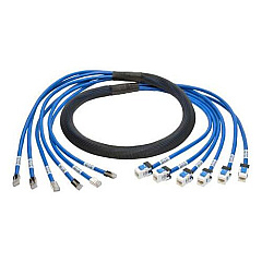 Tripp Lite 10ft Aug Cat6 Pre-term Trunk Bundle 6xmf (N2610106MFBL)