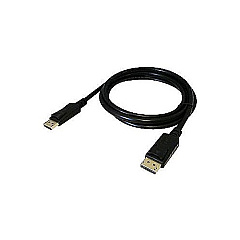 Total Micro Technologies Displayport To Displayport Adapter M/m (DPDP6TM)