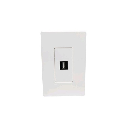 Tripp Lite 1-port Single-gang Keystone Wallplate (N080-101)