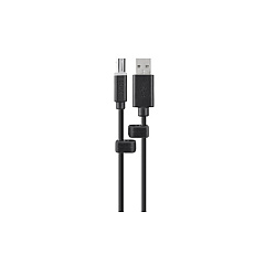 Belkin Taa Cac Usb A/b Skvm Cable, 6 (F1D9013B06T) Belkin Taa Cac Usb A/b Skvm Cable, 6 (F1D9013B06T)