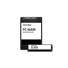 SanDisk 256gb 2.5 Sata Client Ssd (SDASB8Y256G1122)