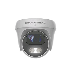 Grandstream Networks -infrared Weatherproof Domecamera (GSC3610)