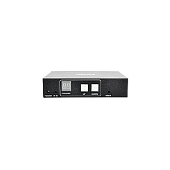 Tripp Lite Displayport Over Ip Receiver Extender (B160100DPSI) Tripp Lite Displayport Over Ip Receiver Extender (B160100DPSI)