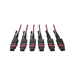 Tripp Lite 24-fiber Mtp Mpo Om4 Base-8 Mmf Trunk (N85815M3X8MG)