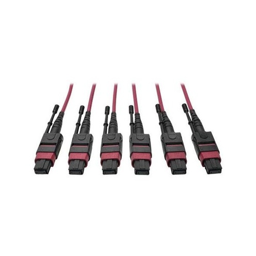 Tripp Lite 24-fiber Mtp Mpo Om4 Base-8 Mmf Trunk (N85861M3X8MG)