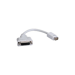 Tripp Lite Mini Dvi Dvi-d Adapter Video Cable M/f (P138000DVI)