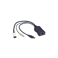 Black Box Series Server Access Module - Displayport, Usb, And Audio, Catx (KV1408A) Black Box Series Server Access Module - Displayport, Usb, And Audio, Catx (KV1408A)