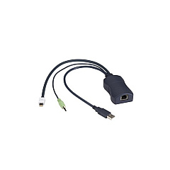 Black Box Series Server Access Module - Mini Displayport, Usb, Audio, Catx (KV1409A) Black Box Series Server Access Module - Mini Displayport, Usb, Audio, Catx (KV1409A)