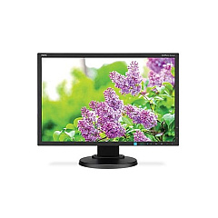 NEC 23in Widescreen Desktop Monitor (E233WMIBK)