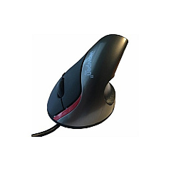 Ergoguys Wow Joy Silver Ergonomic Vertical Mouse (WP012SE)