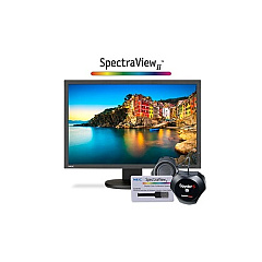 NEC 24in Srgb Monitor With Spectraviewii (P243WBKSV)