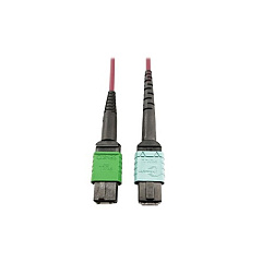 Tripp Lite Mmf Fiber Mtp/mpo-apc 24f Mtp/mpo-upc 1m (N846D01M16CMG)
