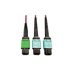 Tripp Lite Fiber Mtp/mpo-apc X2 12f Mtp/mpo-upc 1m (N846D01M16DMG) Tripp Lite Fiber Mtp/mpo-apc X2 12f Mtp/mpo-upc 1m (N846D01M16DMG)