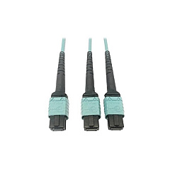 Tripp Lite Fiber 24f Mtp/mpo-pcx2 12f Mtp/mpo-pc 1m (N846D01M24BAQ)