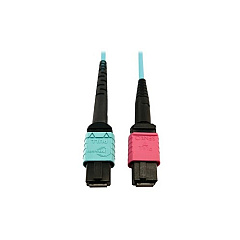 Tripp Lite Fiber 24f Mtp/mpoupc 16f Mtp/mpoupc 1m (N846D01M24DAQ)