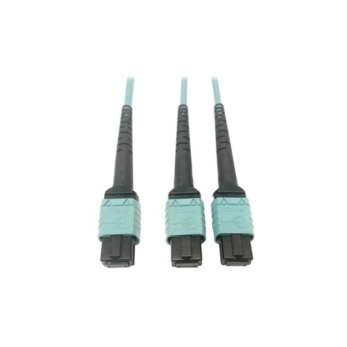 Tripp Lite Fiber 24f Mtp/mpo-pcx2 12f Mtp/mpo-pc 3m (N846D03M24BAQ)