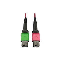 Tripp Lite Mmf Fiber Mtp/mpo-apc Mtp/mpo-upc F/f 5m (N846D05M16BMG)