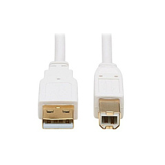 Tripp Lite Usb-a To Usb-b Antibacterial Cable 6ft (U022AB-006-WH)