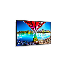 NEC Multisync (ME551)