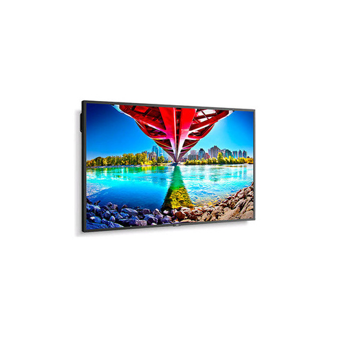 NEC Multisync (ME551)