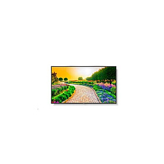 NEC Multisync (M431)