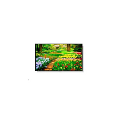 NEC Multisync M491-avt3 (M491AVT3)