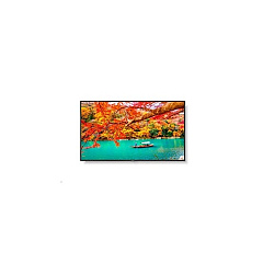 NEC Multisync (MA431)