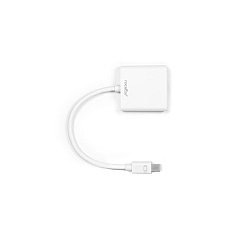 Rocstor Mini Dispalyport To Dvi Adapter - 1 X M (Y10A103W1) Rocstor Mini Dispalyport To Dvi Adapter - 1 X M (Y10A103W1)