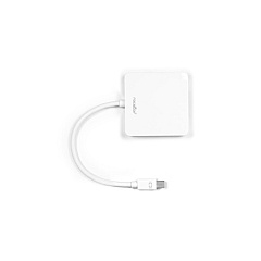 Rocstor Mini Dispalyport To Dvi / Hdmi / Dp Ada (YMDHDDWH) Rocstor Mini Dispalyport To Dvi / Hdmi / Dp Ada (YMDHDDWH)