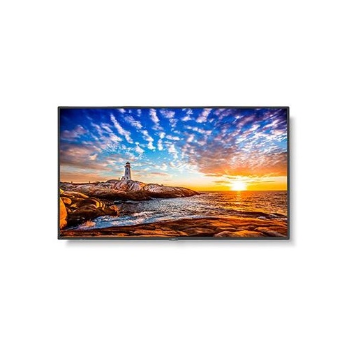 NEC Multisync (P555)