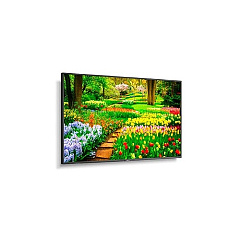 NEC Multisync M491-mpi4e (M491MPI4E)