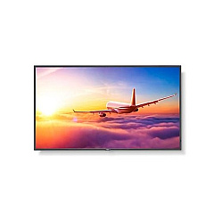NEC Multisync (P495)