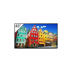 Sony 43 Led, 4k Hdr, Professional Display (FW43BZ30J)