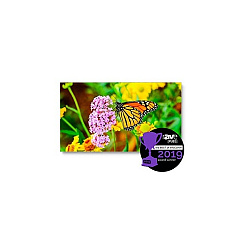 NEC 55inch Ultra Narrow Bezel Video Wall (UN552S)